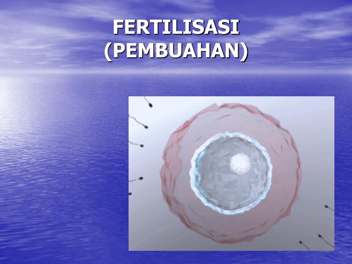 fertilisasi pembuahan