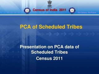 PCA of Scheduled Tribes