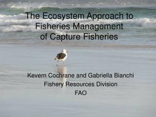 The Ecosystem Approach to Fisheries Management of Capture Fisheries