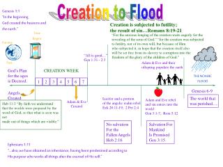 Creation to Flood
