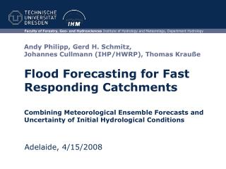 Flood Forecasting for Fast Responding Catchments