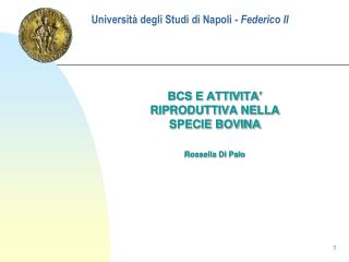 universit degli studi di napoli federico ii