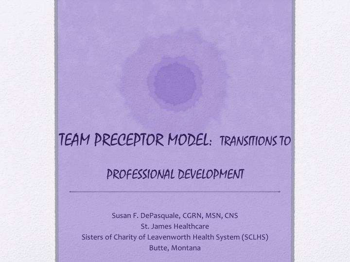 team preceptor model transitions to professional development