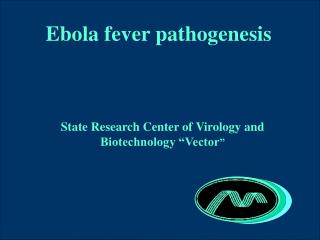 Ebola fever pathogenesis