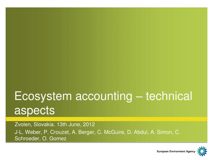 ecosystem accounting technical aspects