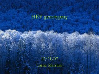 HBV genotyping