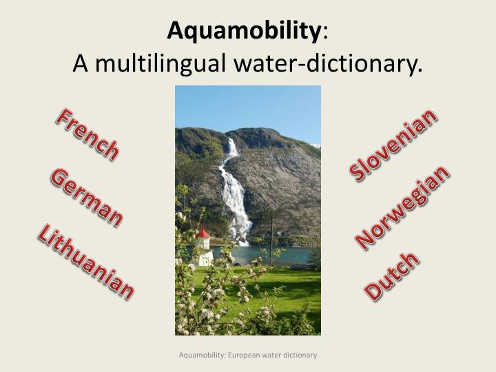 aquamobility a multilingual water dictionary