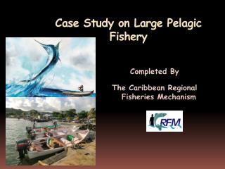 Case Study on Large Pelagic Fishery