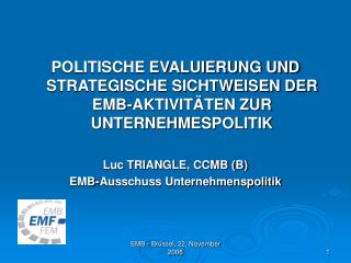 POLITISCHE EVALUIERUNG UND STRATEGISCHE SICHTWEISEN DER EMB-AKTIVITÄTEN ZUR UNTERNEHMESPOLITIK