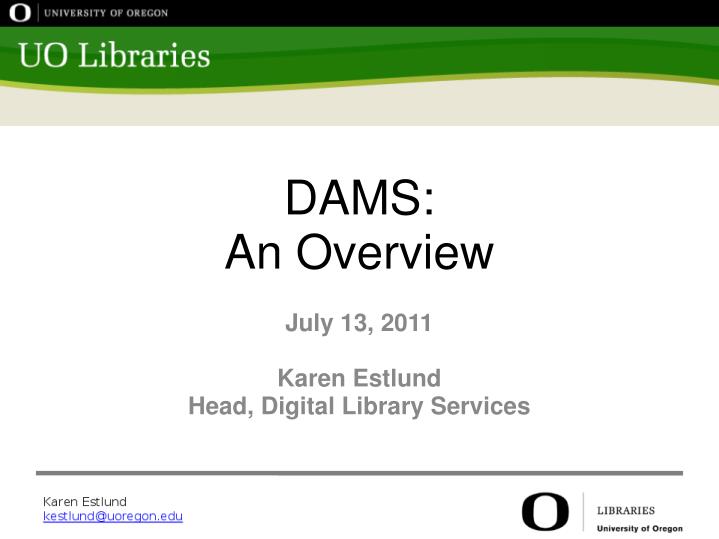 dams an overview