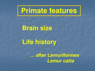 Primate features