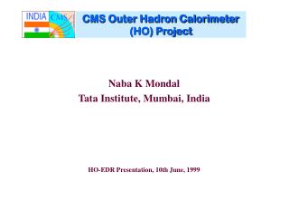 CMS Outer Hadron Calorimeter (HO) Project