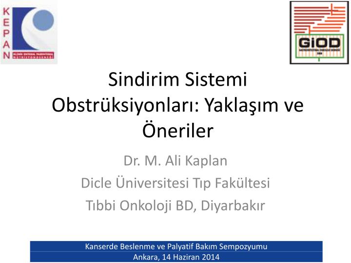 sindirim sistemi obstr ksiyonlar yakla m ve neriler