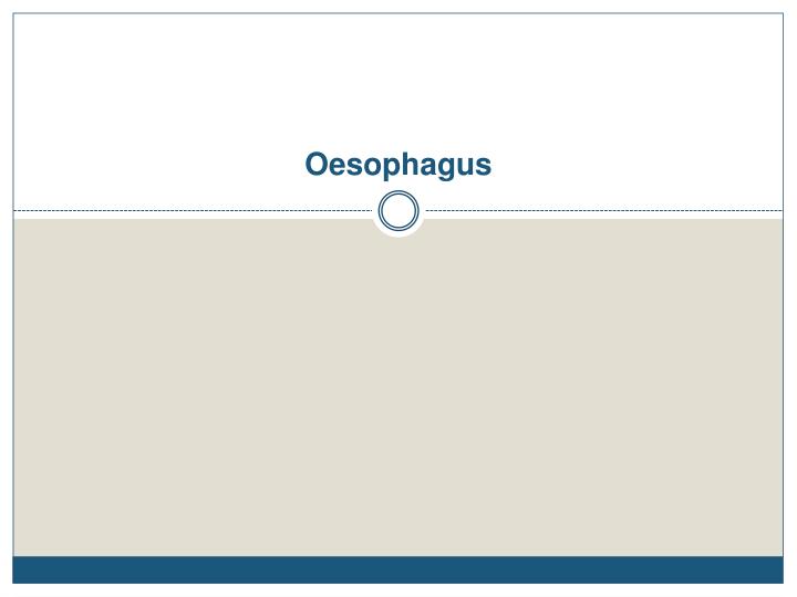 oesophagus