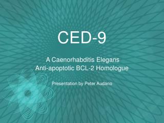 CED-9