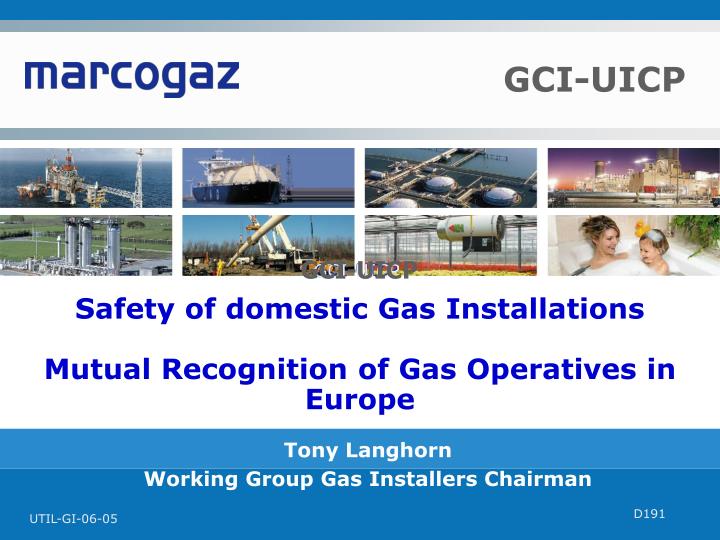 safety of domestic gas installations mutual recognition of gas operatives in europe