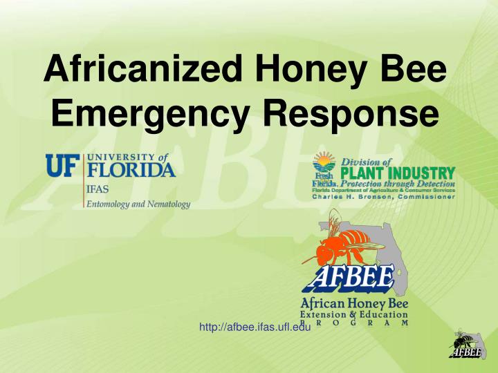 africanized honey bee emergency response