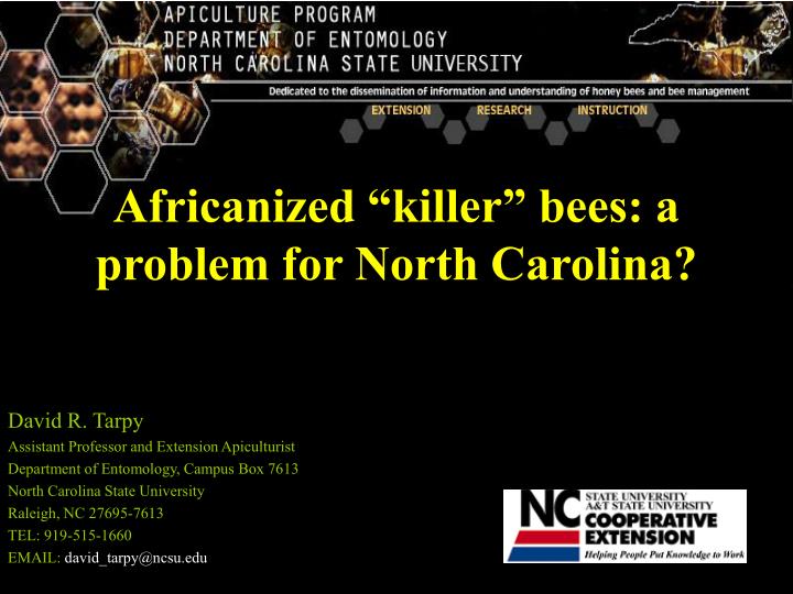africanized killer bees a problem for north carolina