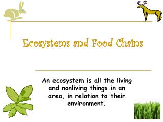 Ecosystems and Food Chains