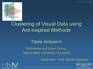 Clustering of Visual Data using Ant-inspired Methods