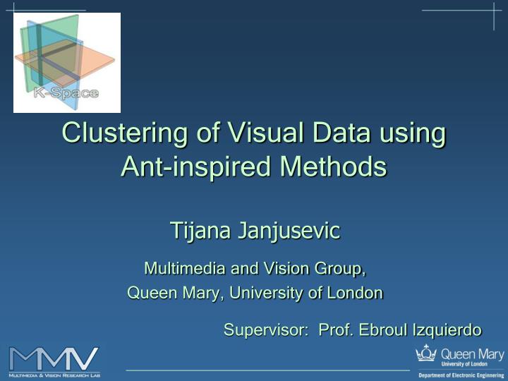 clustering of visual data using ant inspired methods