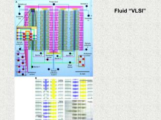 Fluid “VLSI”