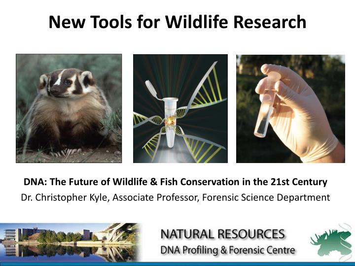 new tools for wildlife research