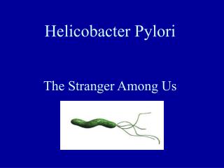 Helicobacter Pylori The Stranger Among Us