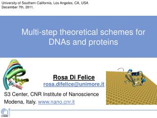 Multi-step theoretical schemes for DNAs and proteins