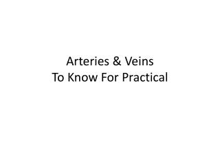 Arteries &amp; Veins To Know For Practical