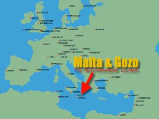 The Maltese Language