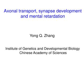 Axonal transport, synapse development and mental retardation