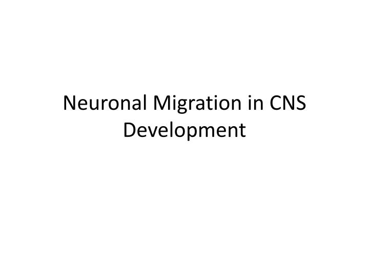 neuronal migration in cns development
