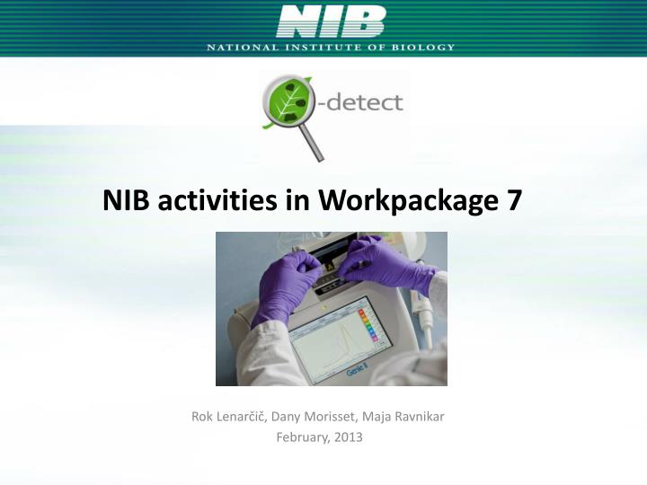 nib activities in workpackage 7