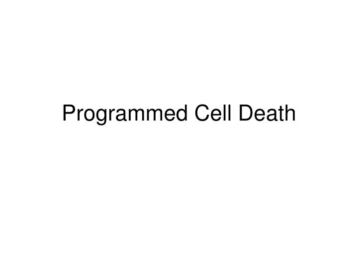 programmed cell death
