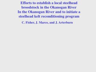 Efforts to establish a local steelhead broodstock in the Okanogan River