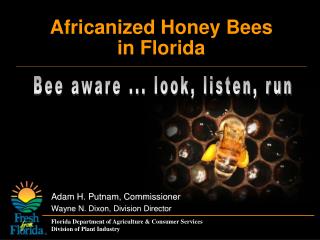 Africanized Honey Bees in Florida