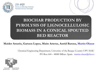 BIOCHAR PRODUCTION BY PYROLYSIS OF LIGNOCELLULOSIC BIOMASS IN A CONICAL SPOUTED BED REACTOR