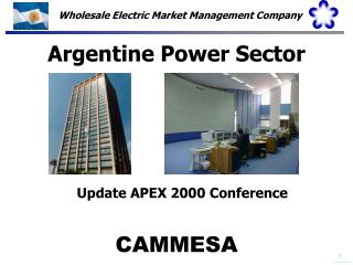 Argentine Power Sector