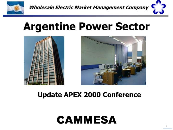 argentine power sector