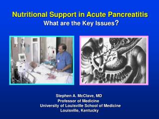 Nutritional Support in Acute Pancreatitis 	 What are the Key Issues ?