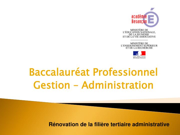 baccalaur at professionnel gestion administration