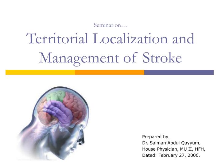 seminar on territorial localization and management of stroke