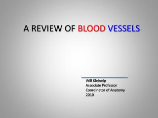 a review of blood vessels