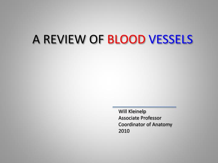 a review of blood vessels