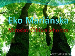 eko mari nska