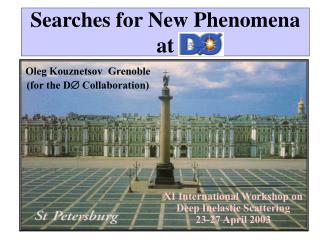 Searches for New Phenomena at