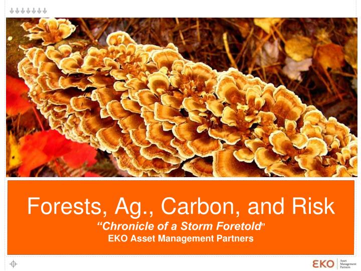 forests ag carbon and risk chronicle of a storm foretold eko asset management partners