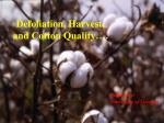 Defoliation, Harvest, and Cotton Quality….