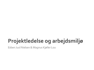 projektledelse og arbejdsmilj